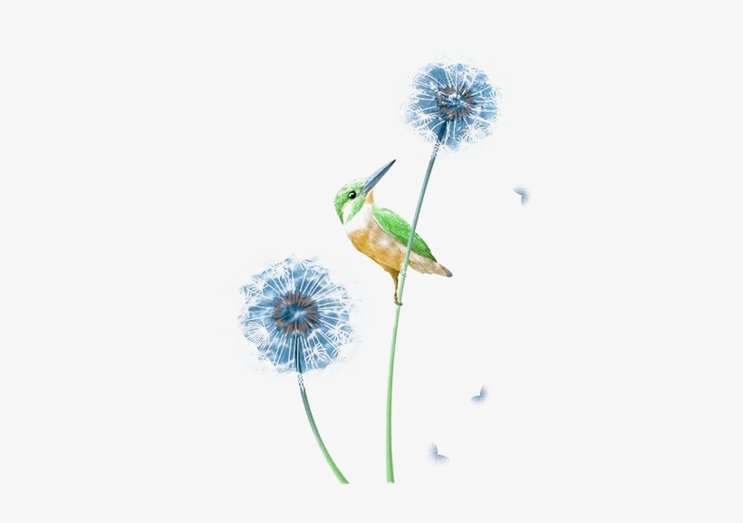 Graphic Stock Blue Kingfisher Dandelion And Transprent - Portable Network Graphics, transparent png