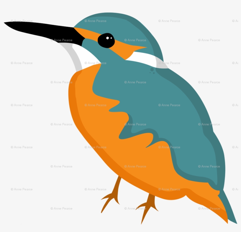 Seabird, transparent png