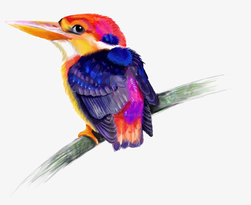 Kingfisher Png Transparent - Rabbit, transparent png