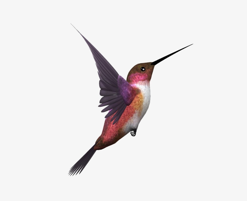 Kingfisher Bird Transparent Image - Kingfisher Bird Png, transparent png