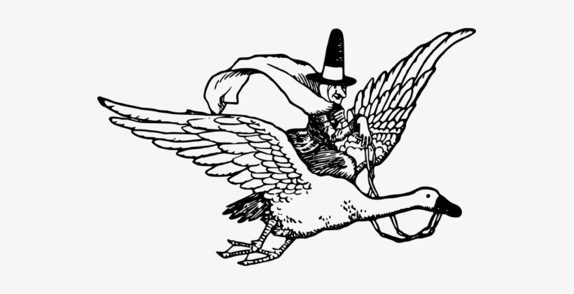 Beak /m/02csf Drawing Bird Line Art - Clip Art, transparent png