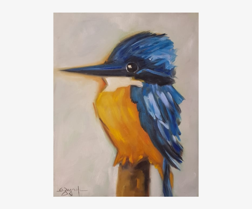 Passaros - Belted Kingfisher, transparent png