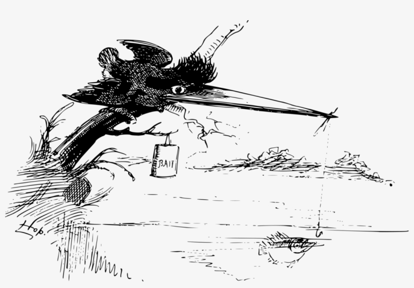 Bird Common Kingfisher Caricature Animal - Caricature, transparent png