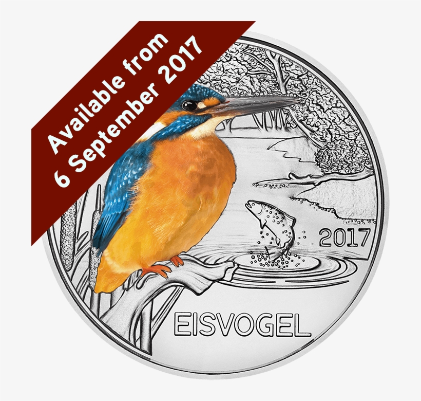 The Kingfisher Glow In The Dark Silver Coin - Colourful Coins Kingfisher, transparent png