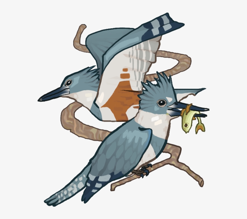 Kingfisher Pop Up Copy - Portable Network Graphics, transparent png