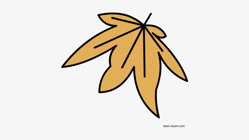 Fall Leaf Free Clip Art - Clip Art, transparent png