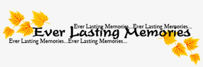 Text Png - Calligraphy, transparent png