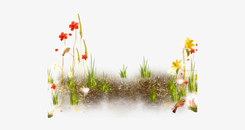 Flowers Plant Foreground Background Garden Stream Brook - Пришла Весна Png, transparent png