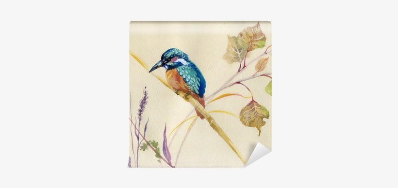 Common Kingfisher, transparent png