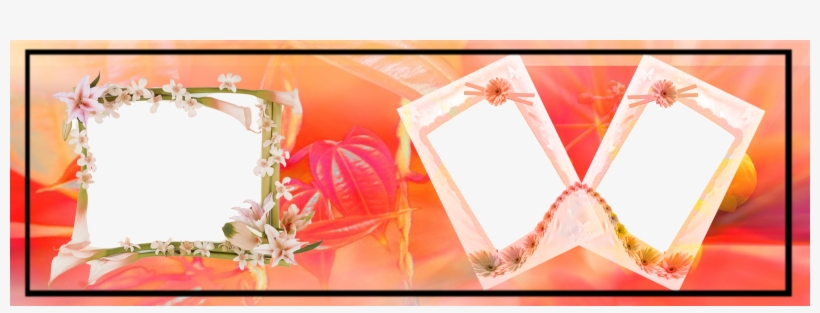 Wedding Album Frames Png - Aspen For Women By Coty, 0.75 Oz. Cologne Spray, transparent png