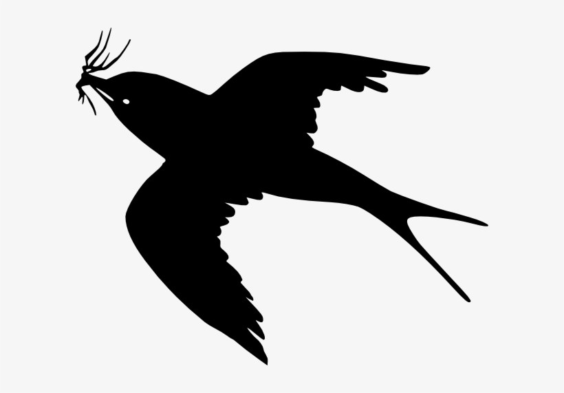 How To Set Use Flying Bird Svg Vector, transparent png