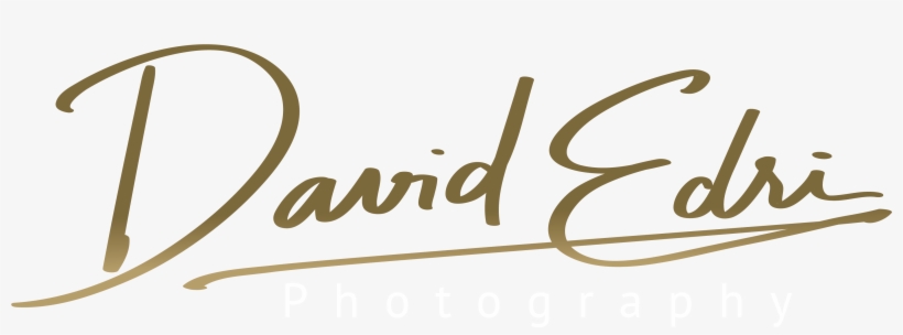 Logo-11 - Calligraphy, transparent png