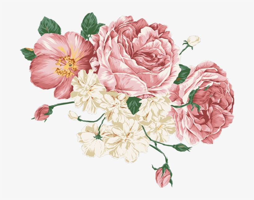 Peonies Vector, transparent png