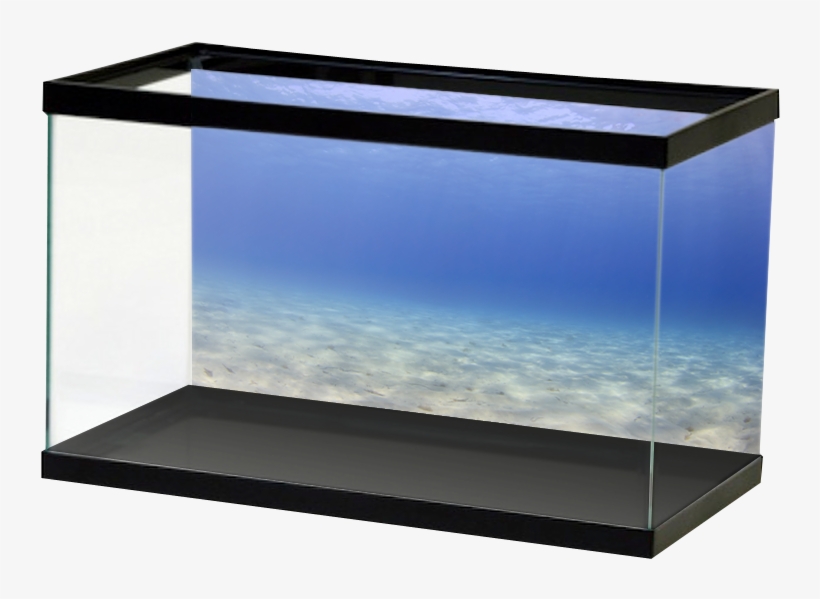 Lightblueopenwater, transparent png