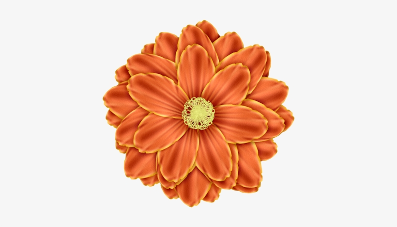 Read It - Flower, transparent png