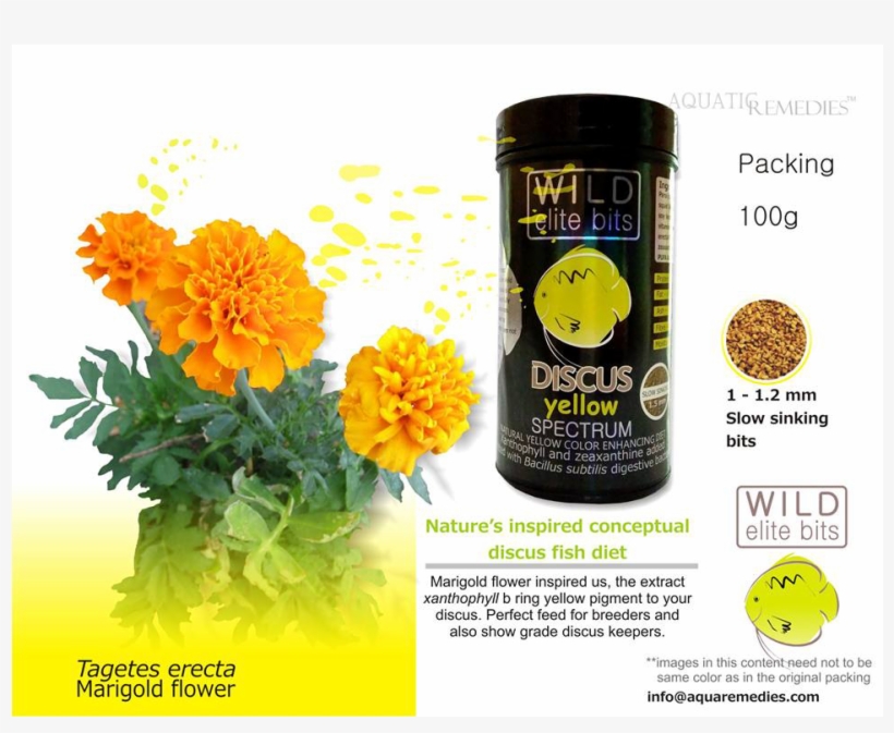 Wild Discus Bits Yellow - Marigold, transparent png
