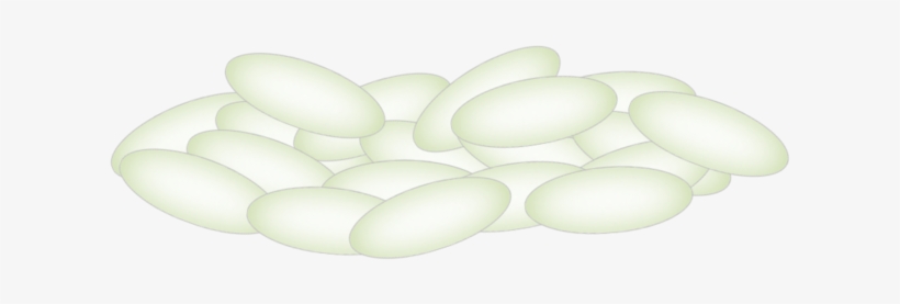 Rice Pile - Ceiling Fixture, transparent png
