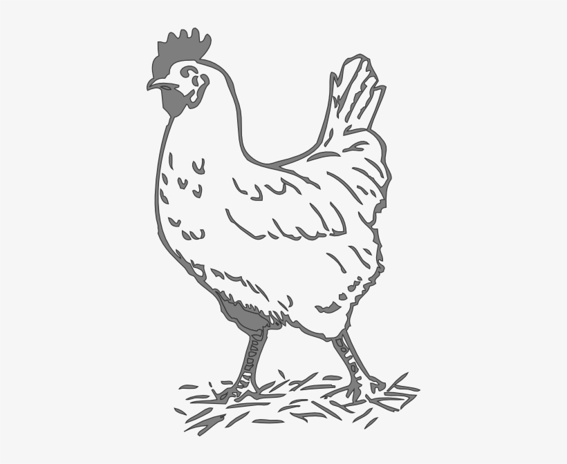 Svg Freeuse Library Gray Hen Clip Art At Clker Com - Black And White Chicken Clip Art, transparent png