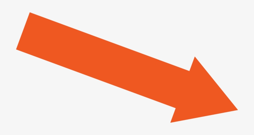 Finding The Dividend Infographic - Graphics, transparent png
