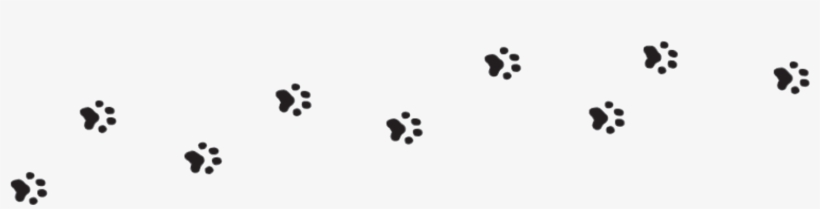 Sale Price - $15 - - Paw, transparent png