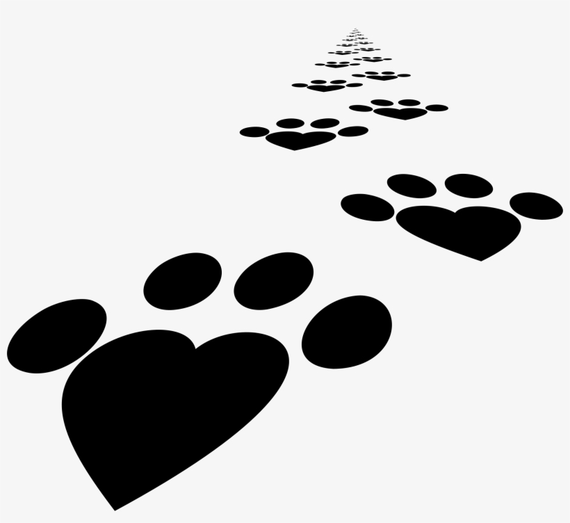 Big Image - Illustration, transparent png