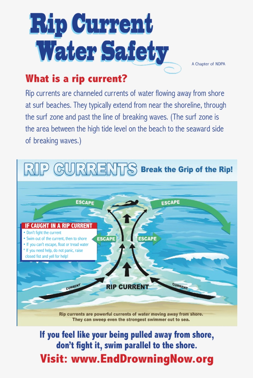 Edn Watersafetybooklet 05 16 Aquarium Page Rehoboth Beach 800x1236