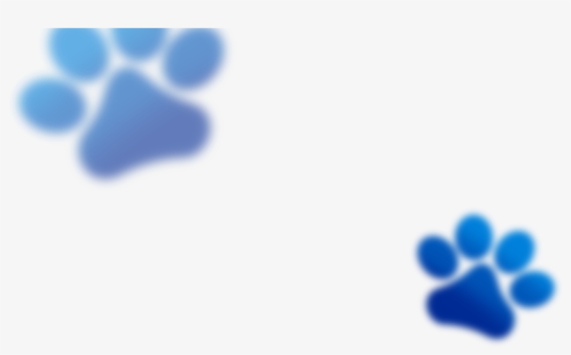 Head Paws Trans - Portable Network Graphics, transparent png