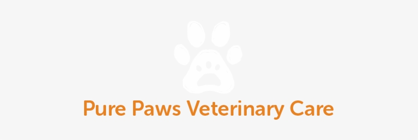 Visit Pure Paws Veterinary Care For The Finest Veterinary - Rock And Wok, transparent png