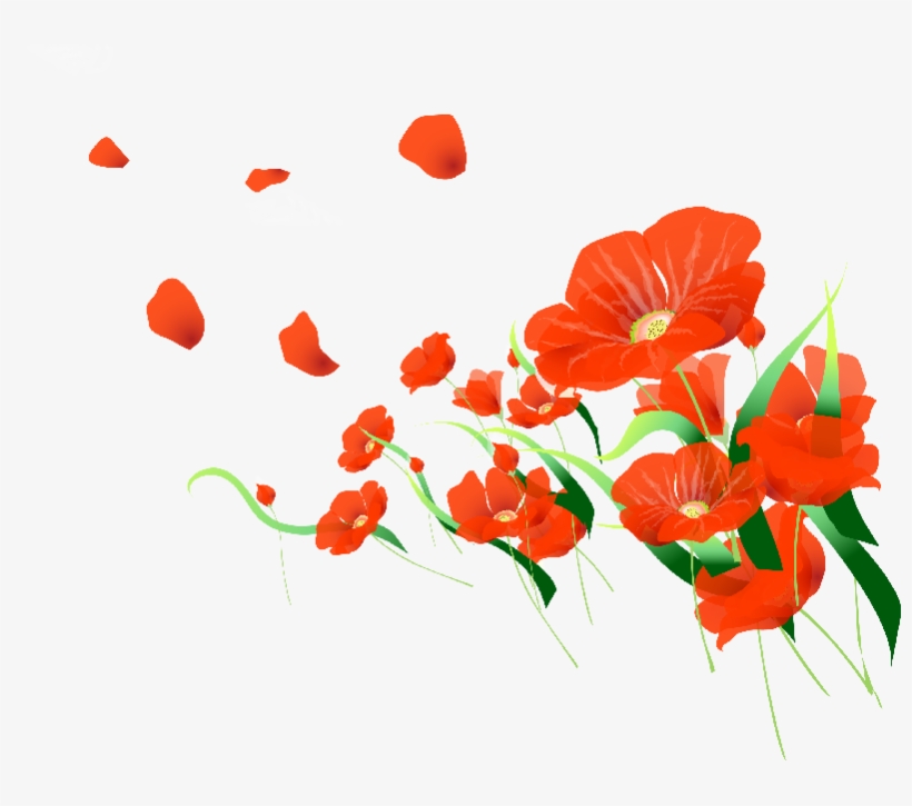 Visit - Anthurium, transparent png
