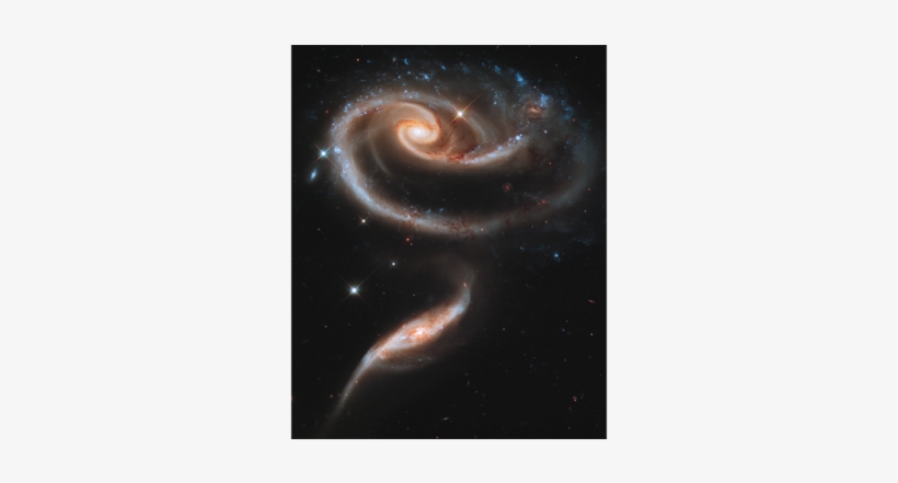 A "rose" Made Of Galaxies - Arp 273, transparent png