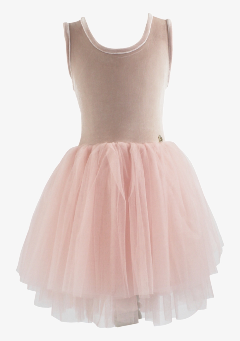 Dolly By Le Petit Tom Velvet Essential Tutu Dress Ballet - Ballet Dress Transparent, transparent png