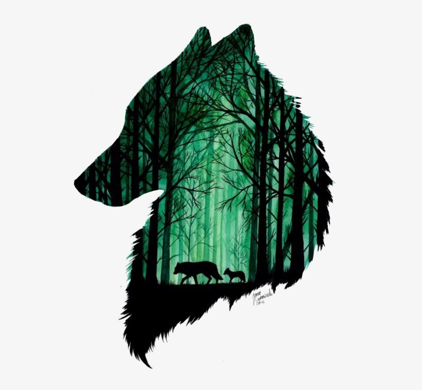 Tutu - Call Of The Wild; Paperback; Author - Jack London, transparent png