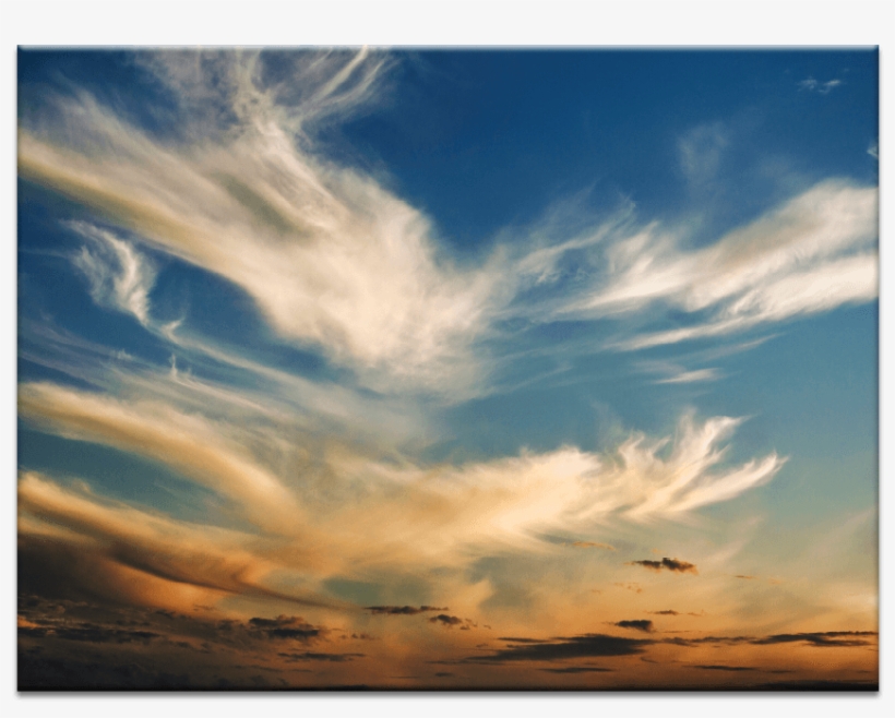 Wisp - Photographer, transparent png