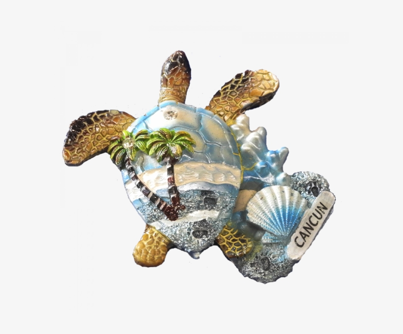 More Views - Hawksbill Sea Turtle, transparent png