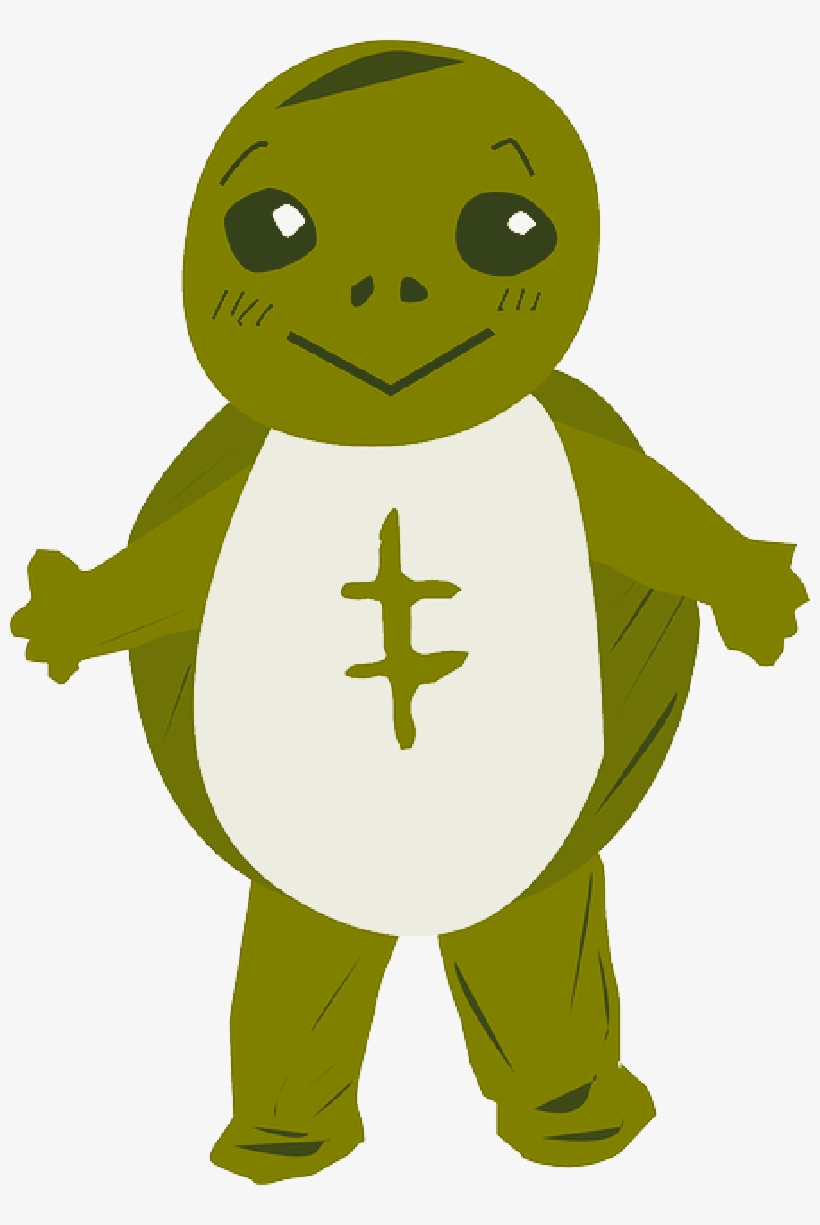 Mb Image/png - Turtle Clip Art, transparent png