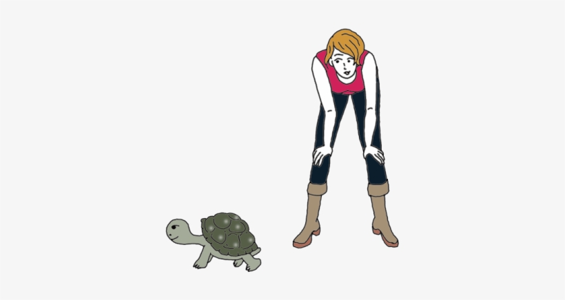Dreaming Of Turtles - Turtle, transparent png