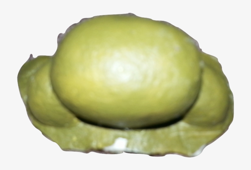 Ogre Nose - Musical Theatre, transparent png