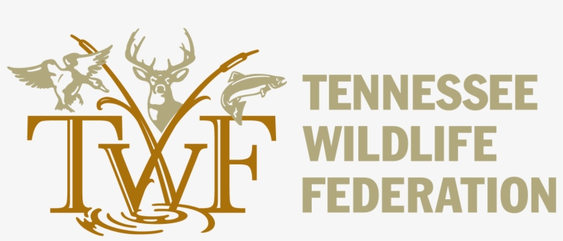 Tennessee Wildlife Federation, transparent png