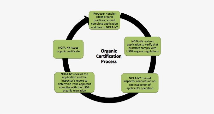 Certification Process - Organic Certification Process, transparent png