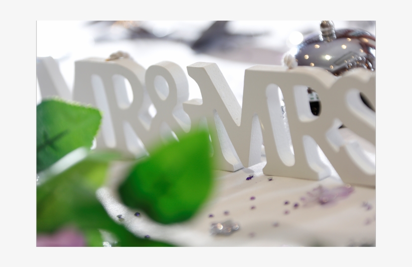 Macro Photography, transparent png