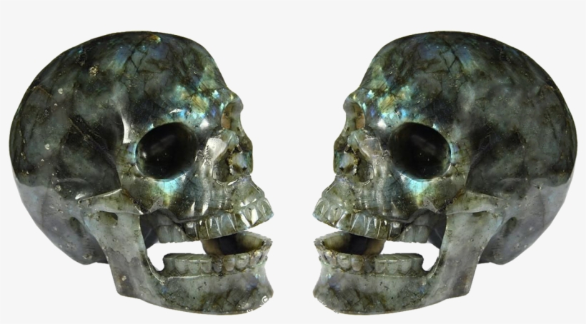 Skull Isolated Skull And Crossbones - Stock.xchng, transparent png