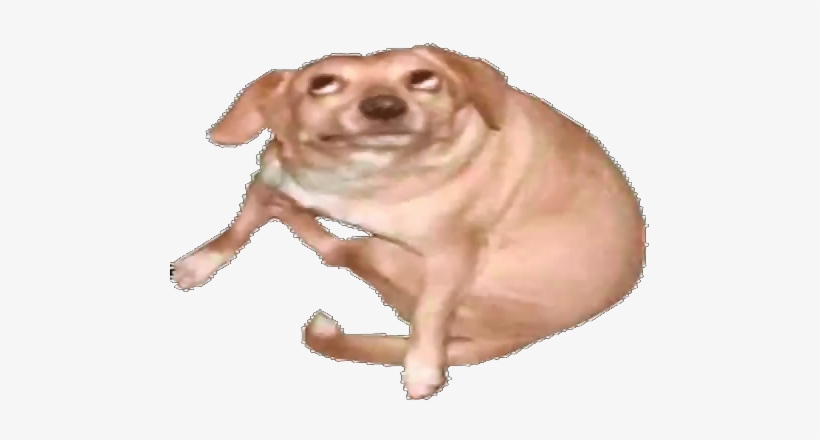 Jul 21, 2014 - Oh You Dog Png, transparent png