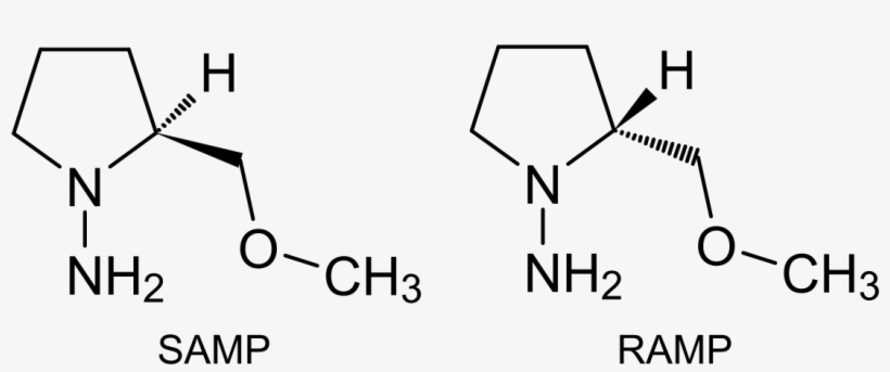 L Arginine Methyl Ester, transparent png