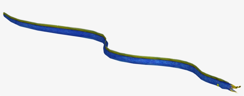 Ribbon Eel - Grass Snake, transparent png