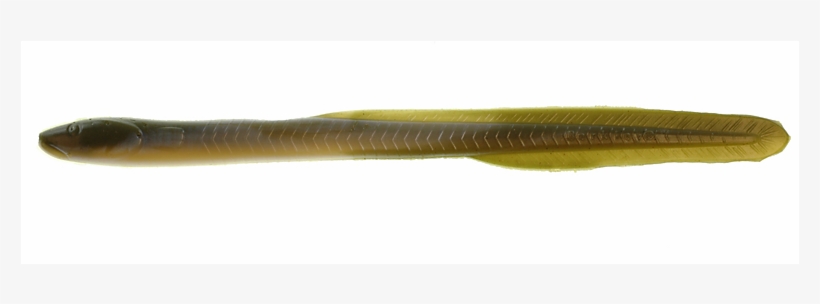 Saltwater 10" Eel - Waxworm, transparent png