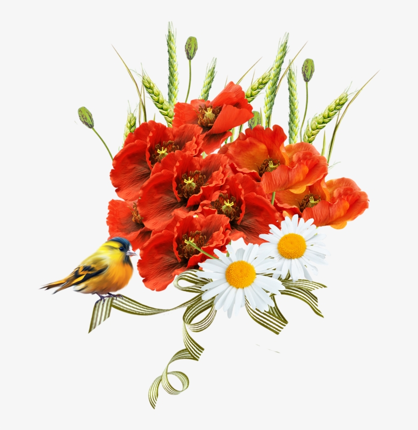 Poppy, transparent png