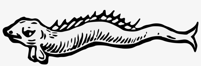 Details, Png - Heraldic Art, transparent png