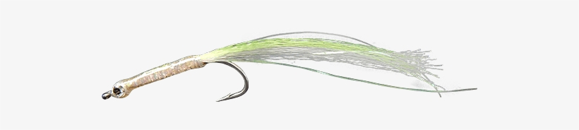 Bay Pipefish, transparent png