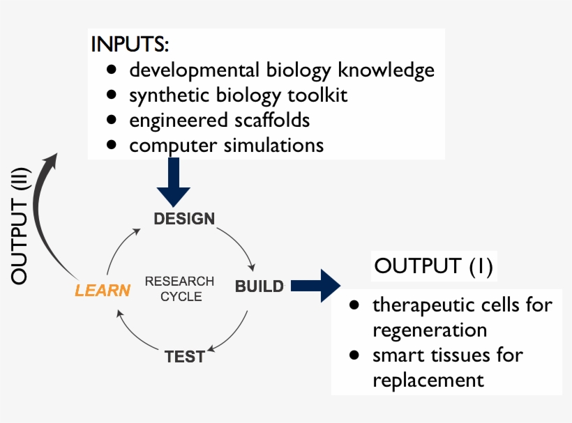 On Another Level, The Mission Of The Lab Is Training - Laboratory, transparent png