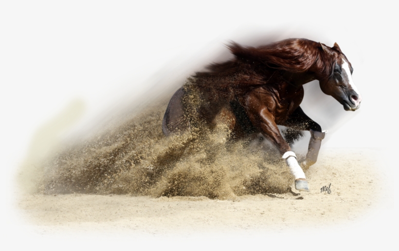 Download Horse Transparent Western Western Horse Png 894x559 Png Download Pngkit Yellowimages Mockups